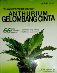 Anthurium Gelombang Cinta: Terpopuler & Mudah Dikenali