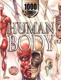 Human Body