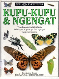 Kupu-Kupu & Ngengat