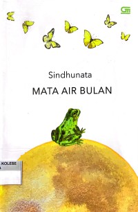 Mata Air Bulan