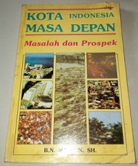 Kota Indonesia Masa Depan, Masalah dan Prospek