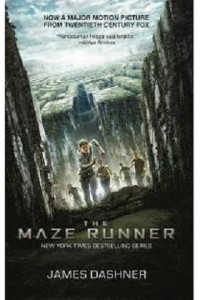 The Maze Runner