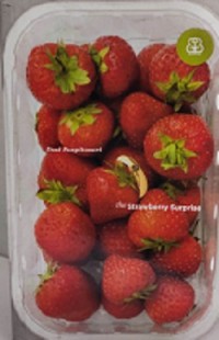 Strawberry Surprise