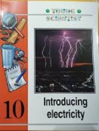Introducing Electricity
