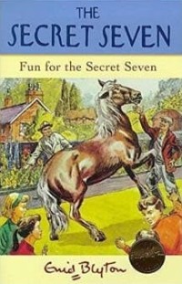 Fun for The Secret Seven